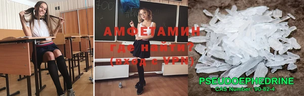 прущие грибы Инта