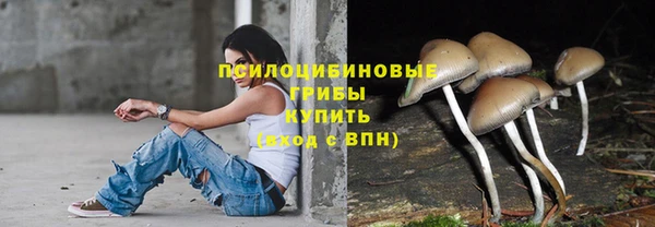 таблы Инсар