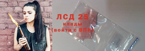 прущие грибы Инта