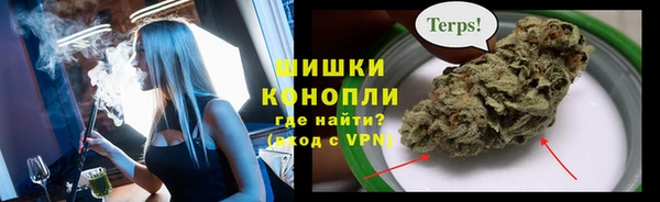 прущие грибы Инта