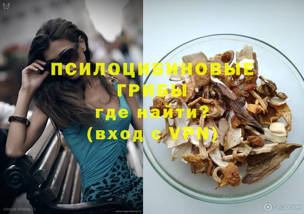 прущие грибы Инта