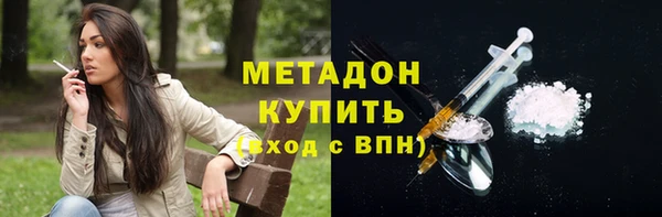 прущие грибы Инта