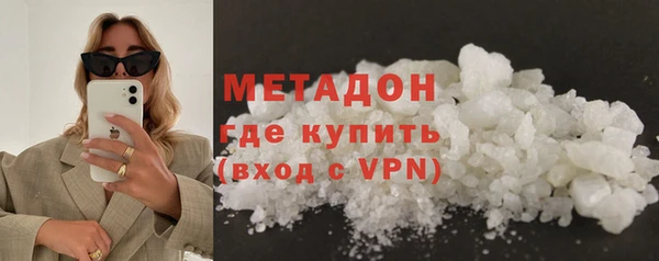 прущие грибы Инта
