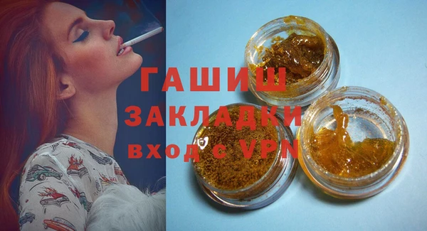 прущие грибы Инта